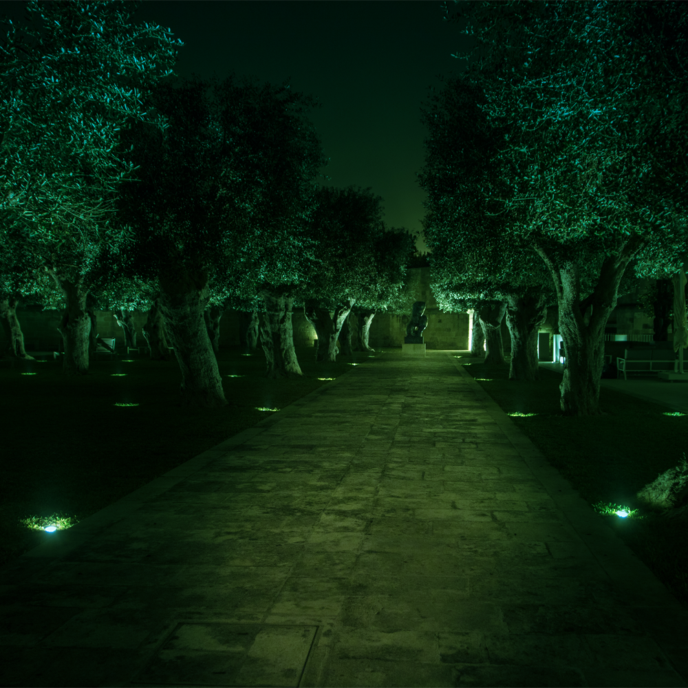 緑色単色での演出が可能 Led地中埋込型照明器具のラインナップ 株式会社富士メディシィエ