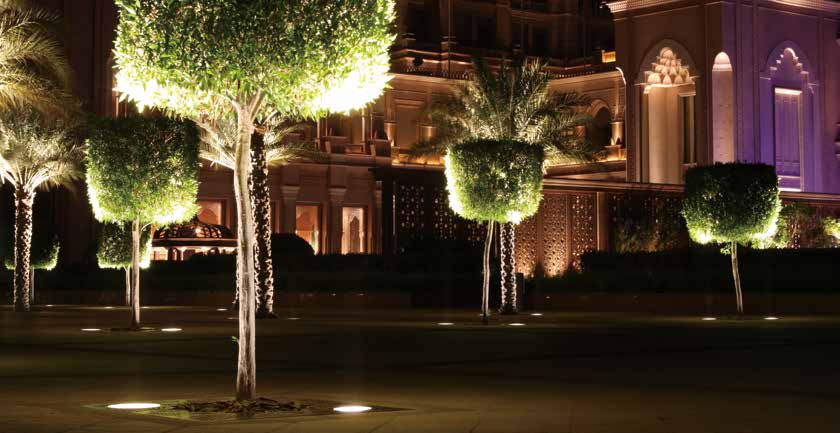 Led照明で樹木の雰囲気がグレードアップ おすすめの照明を紹介 株式会社富士メディシィエ